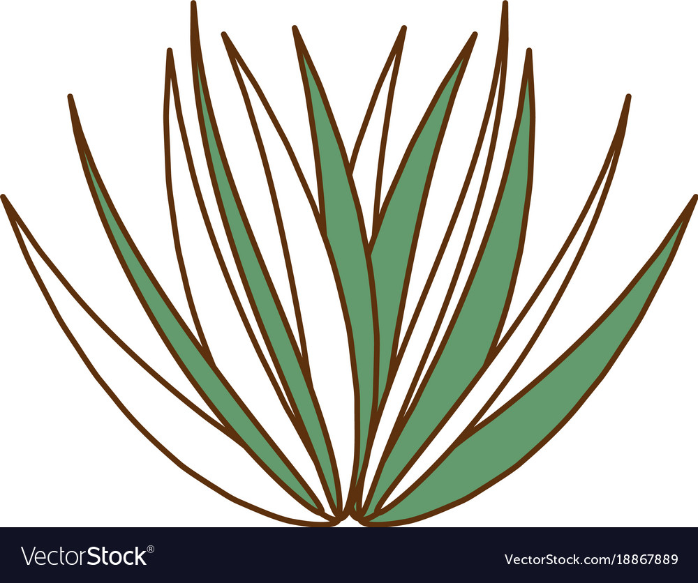 Palm leaf isolated icon