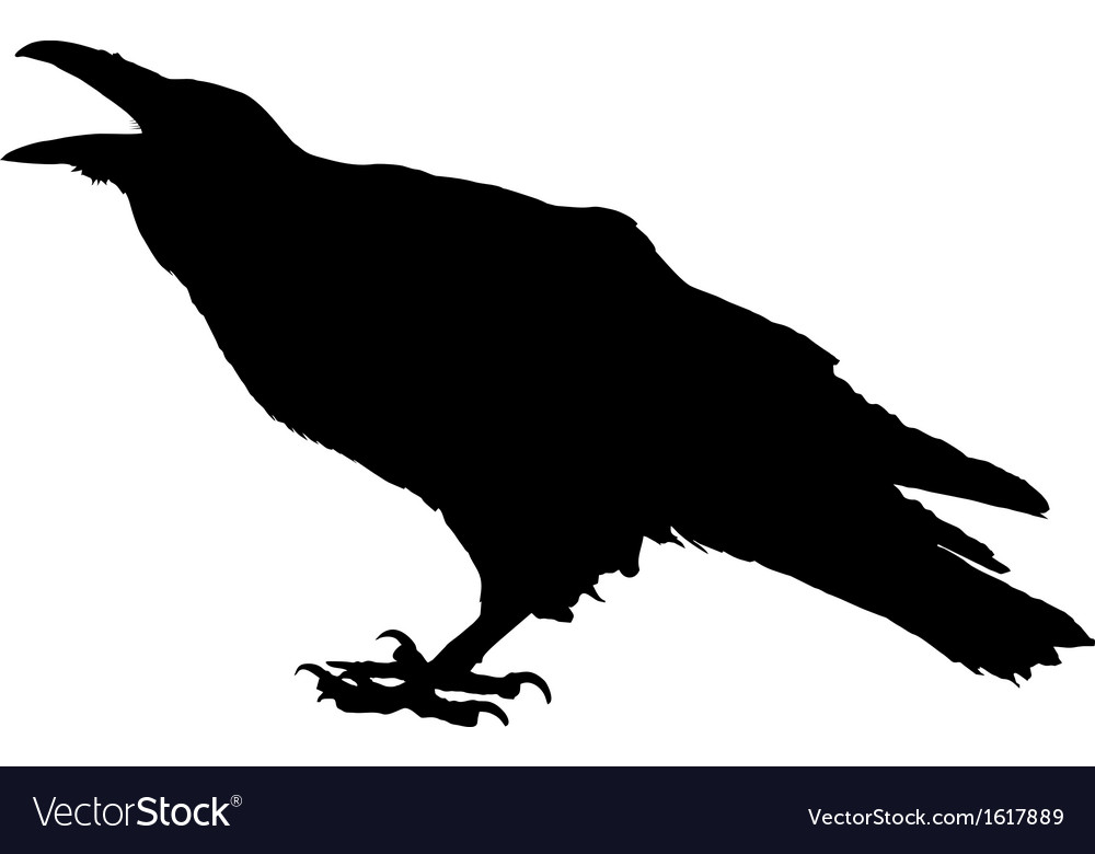 Raven Royalty Free Vector Image - VectorStock