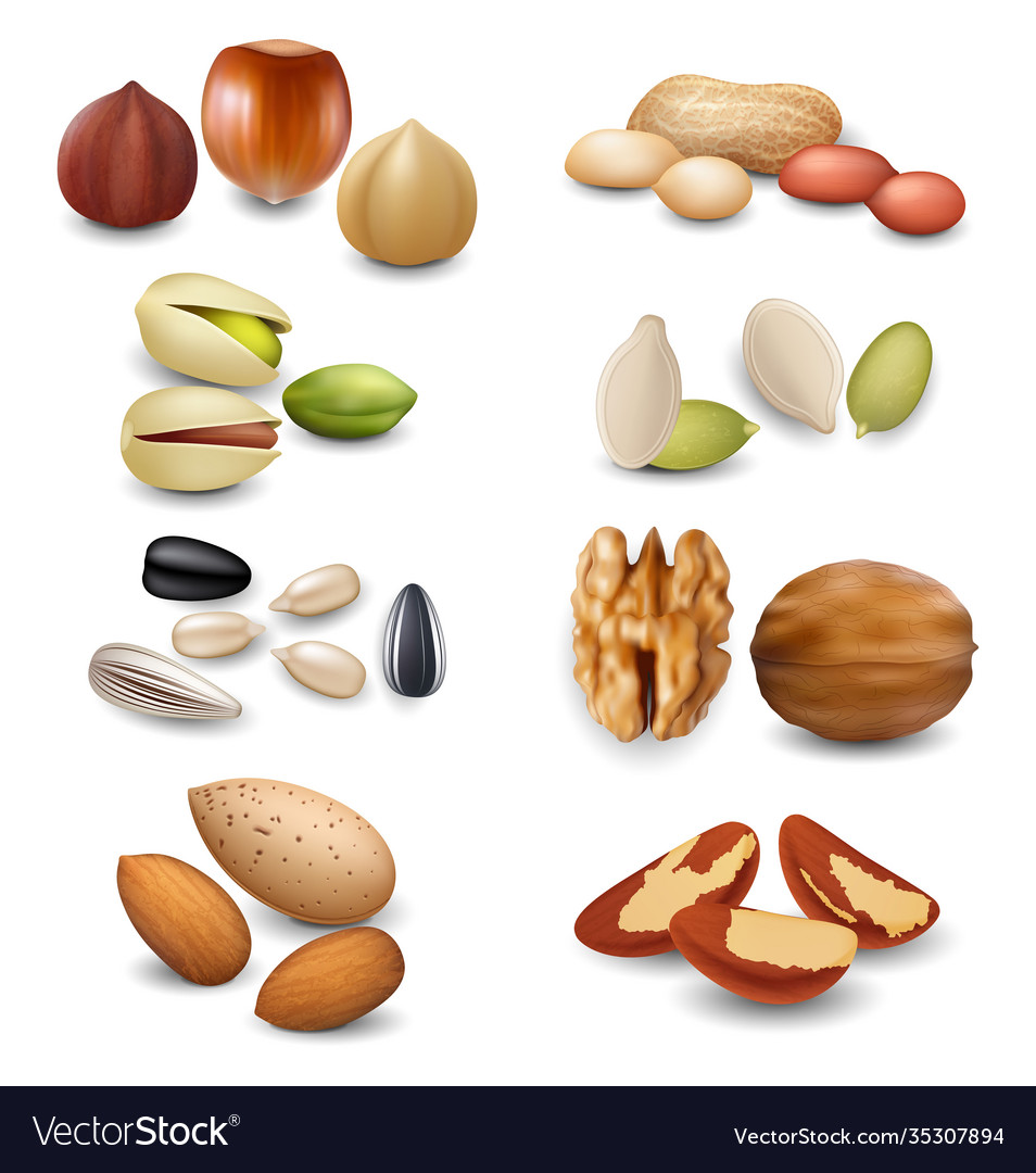 Realistic detailed 3d different nuts set Vector Image