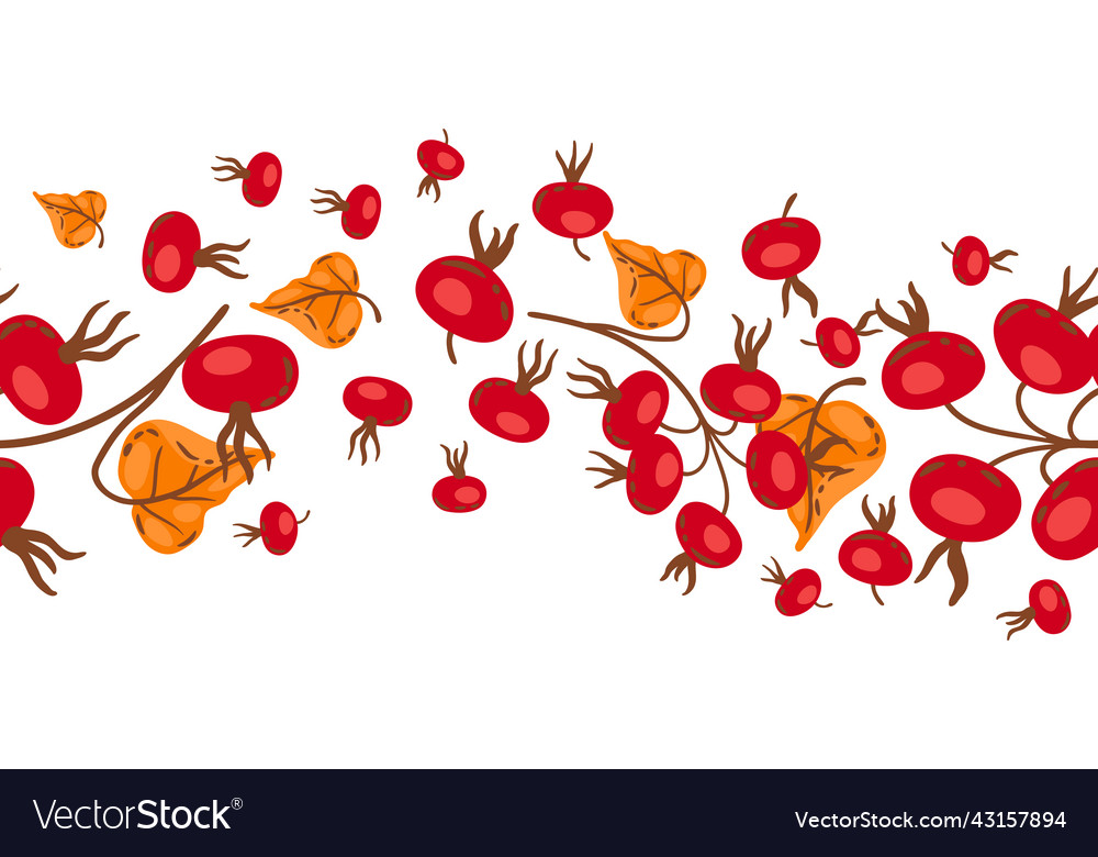 Seamless pattern of branches with rose hips image