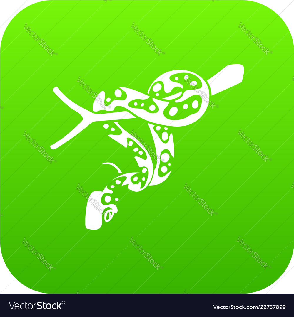 Ball python icon green Royalty Free Vector Image