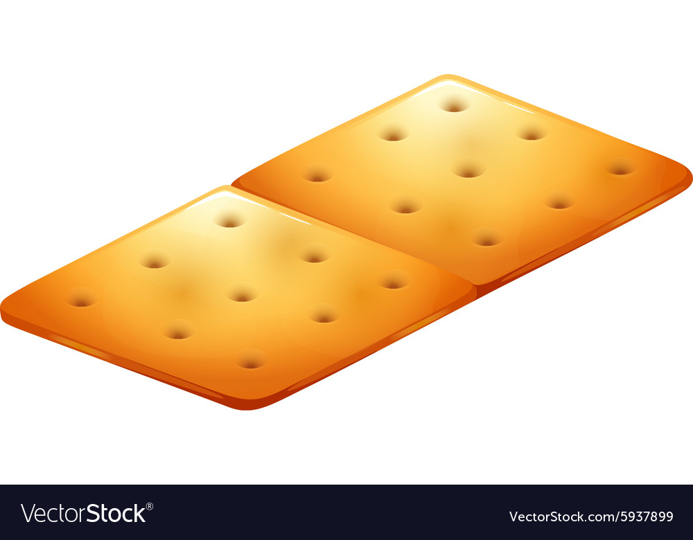 Butter cracker on white