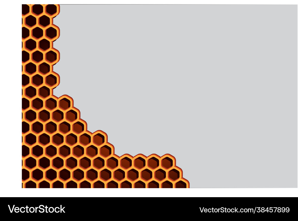 Honeycomb abstract background with space for text Vector Image