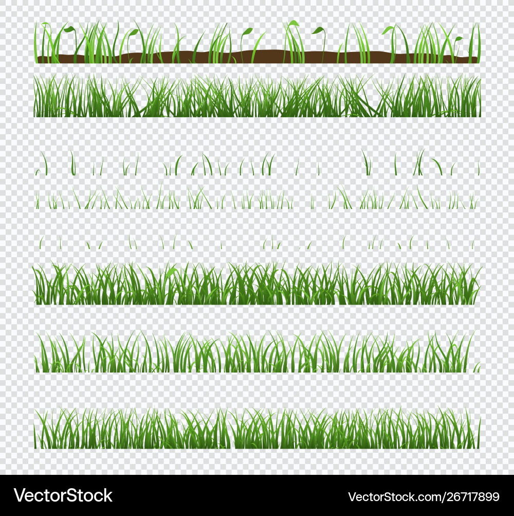 Set elements green grass with plants isolated Vector Image