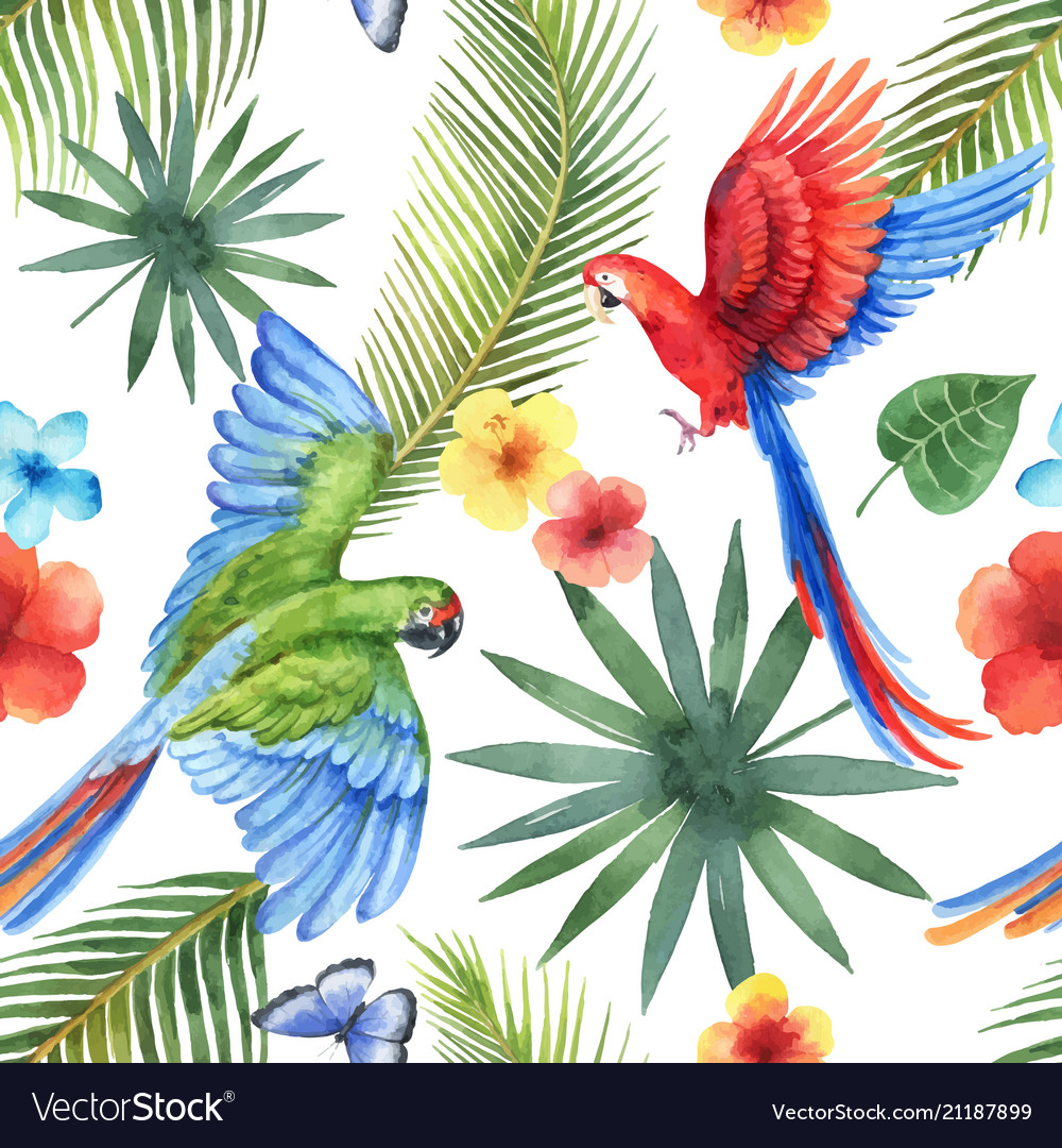 Watercolor seamless pattern with parrots vector image Watercolor seamless pattern with parrots