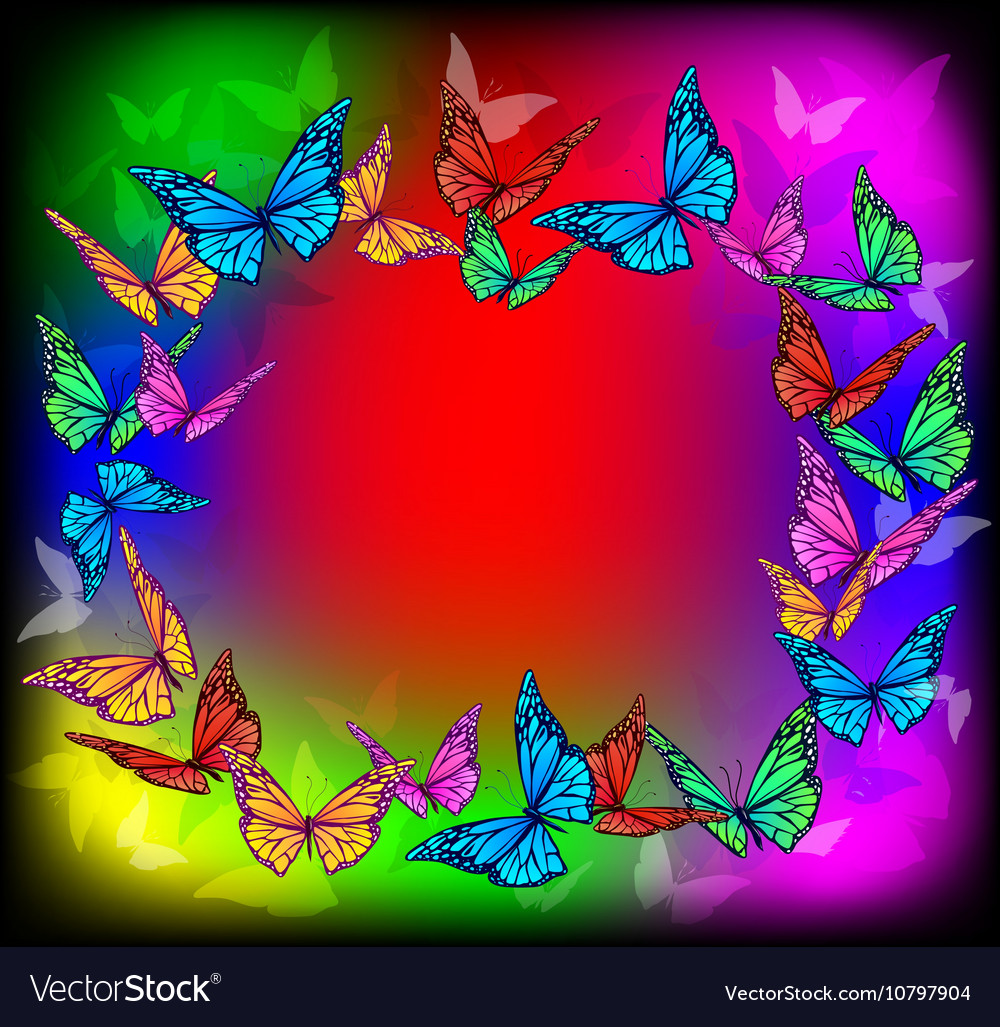 Bright Butterfly Frame Royalty Free Vector Image 5350