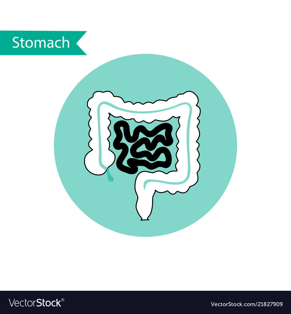 Isolated of intestine