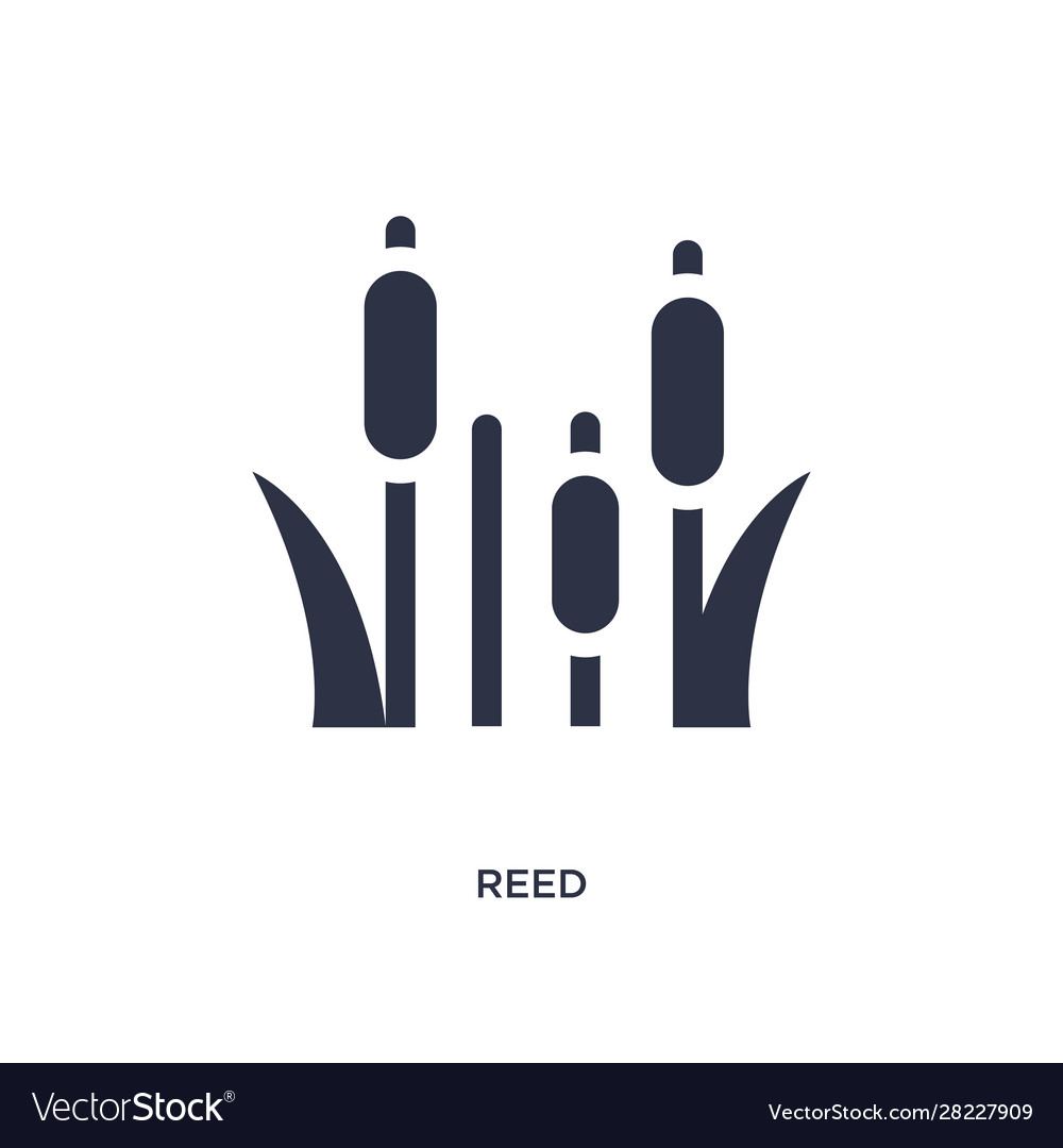 Reed icon on white background simple element from vector image Reed icon on white background simple element from