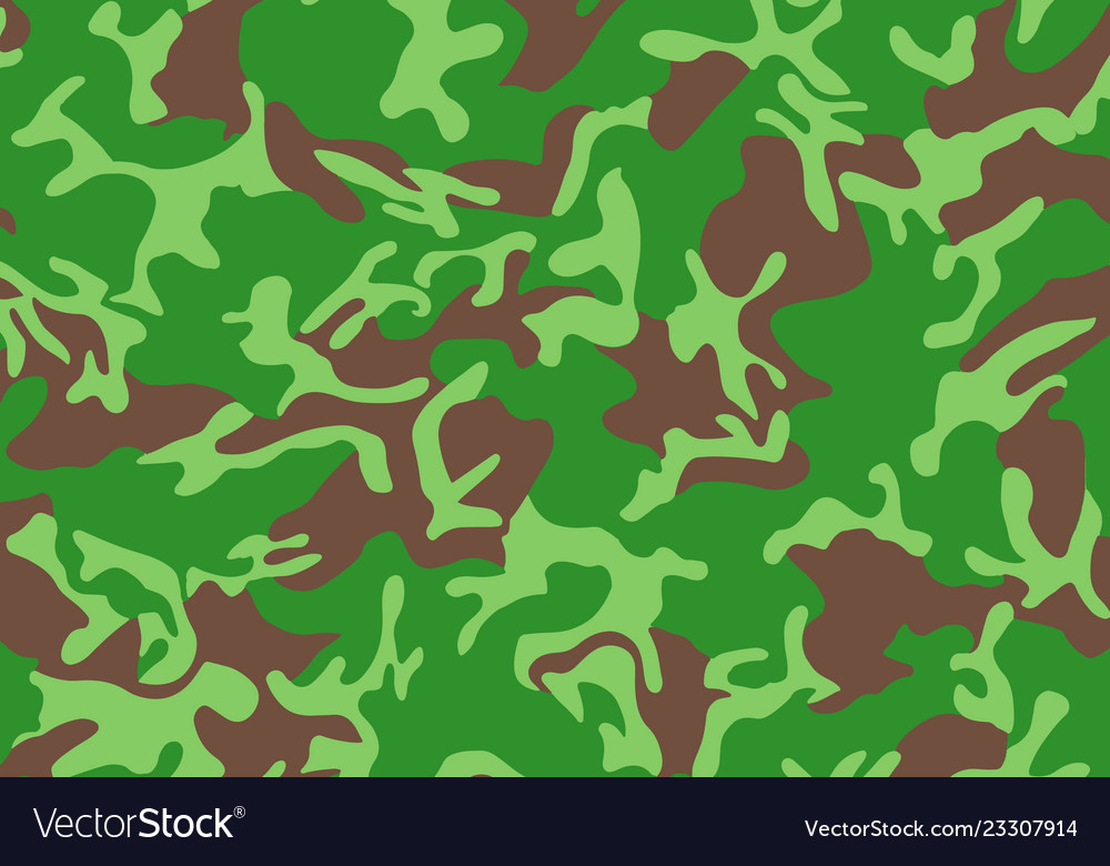 Background pattern of summer army camouflage vector image Background pattern of summer army camouflage