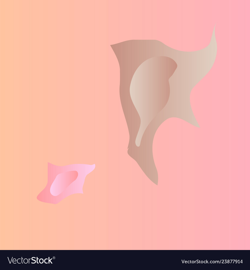Pink gradient background with abstract color blots vector image Pink gradient background with abstract color blots
