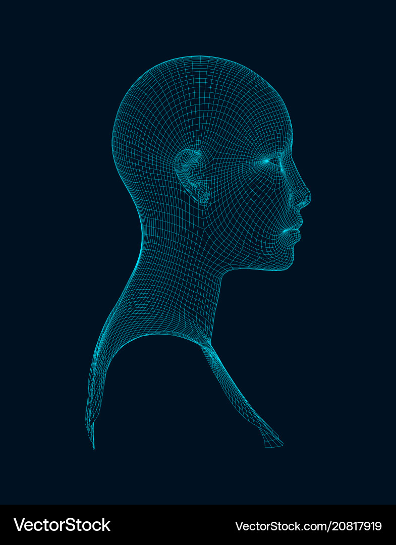 3d head wireframe drawing Royalty Free Vector Image