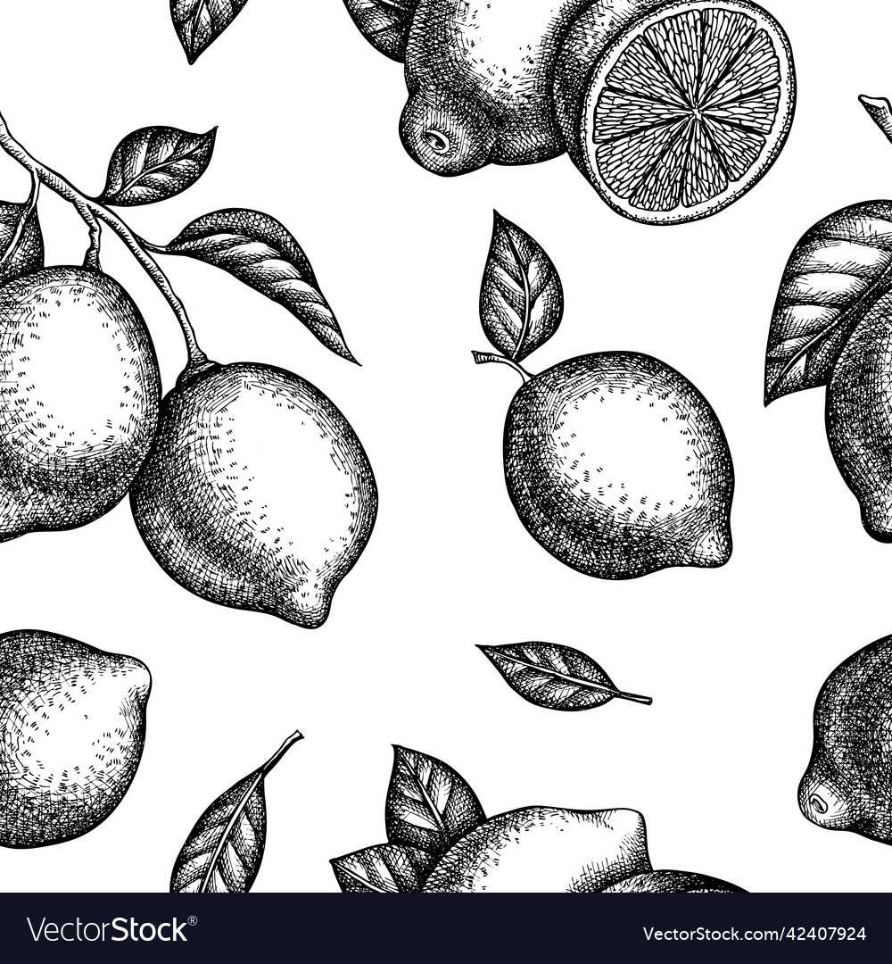Citrus seamless pattern background design vector image Citrus seamless pattern background design
