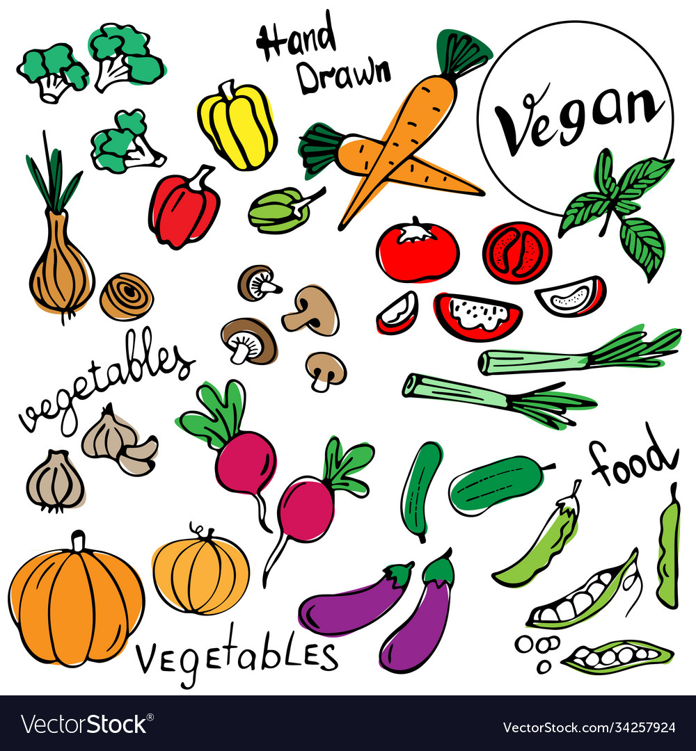 Set hand-drawn vegan food