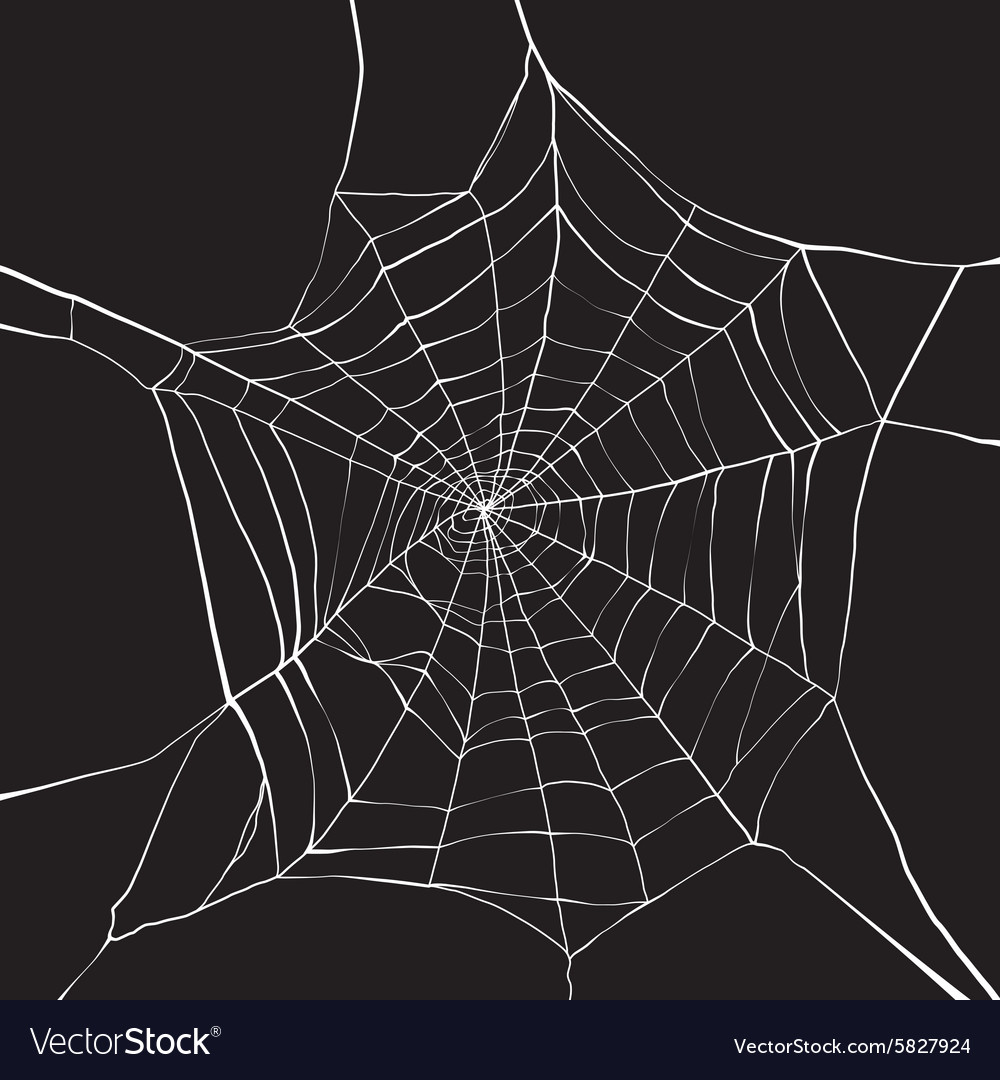 Symmetrical spider web icon, outline style Stock Vector Image