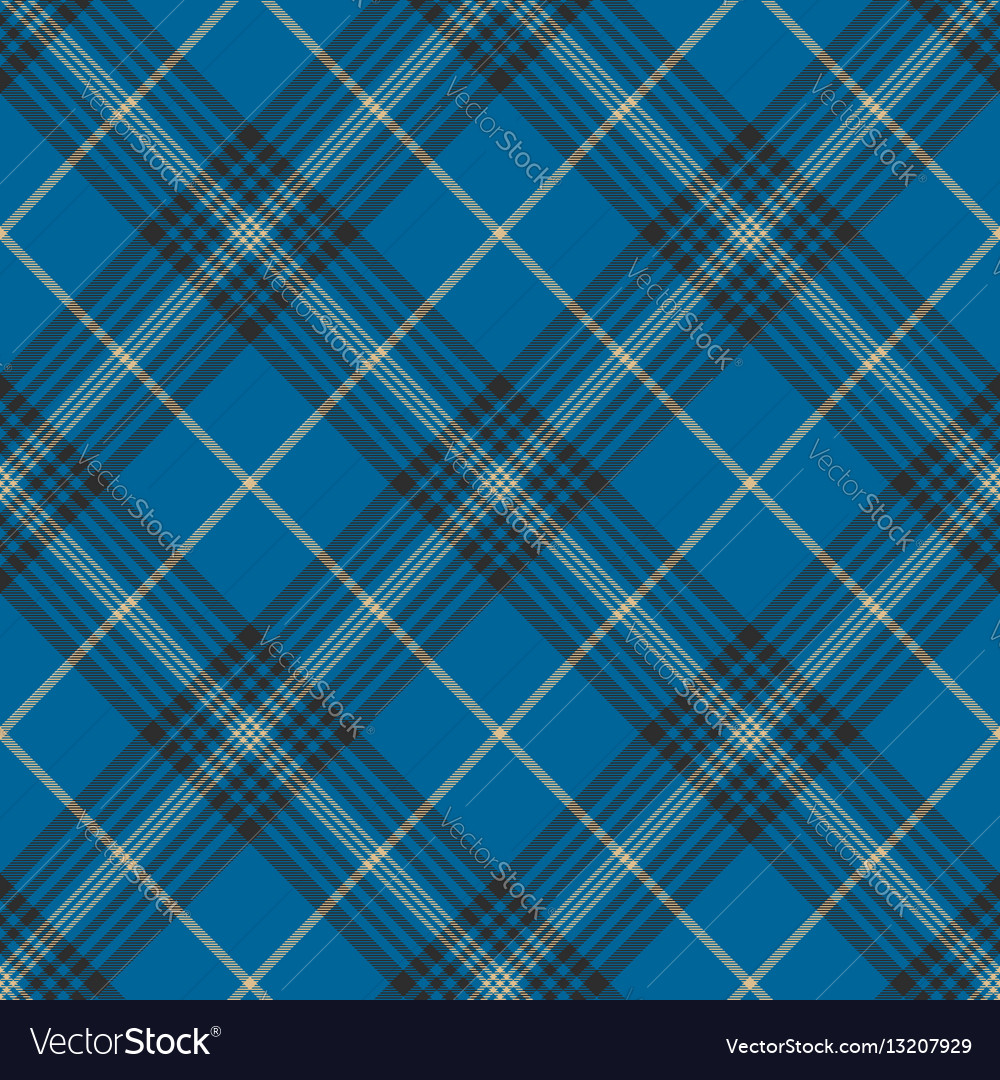 Fabric Texture Blue Check Plaid Seanless Pattern Vector Image