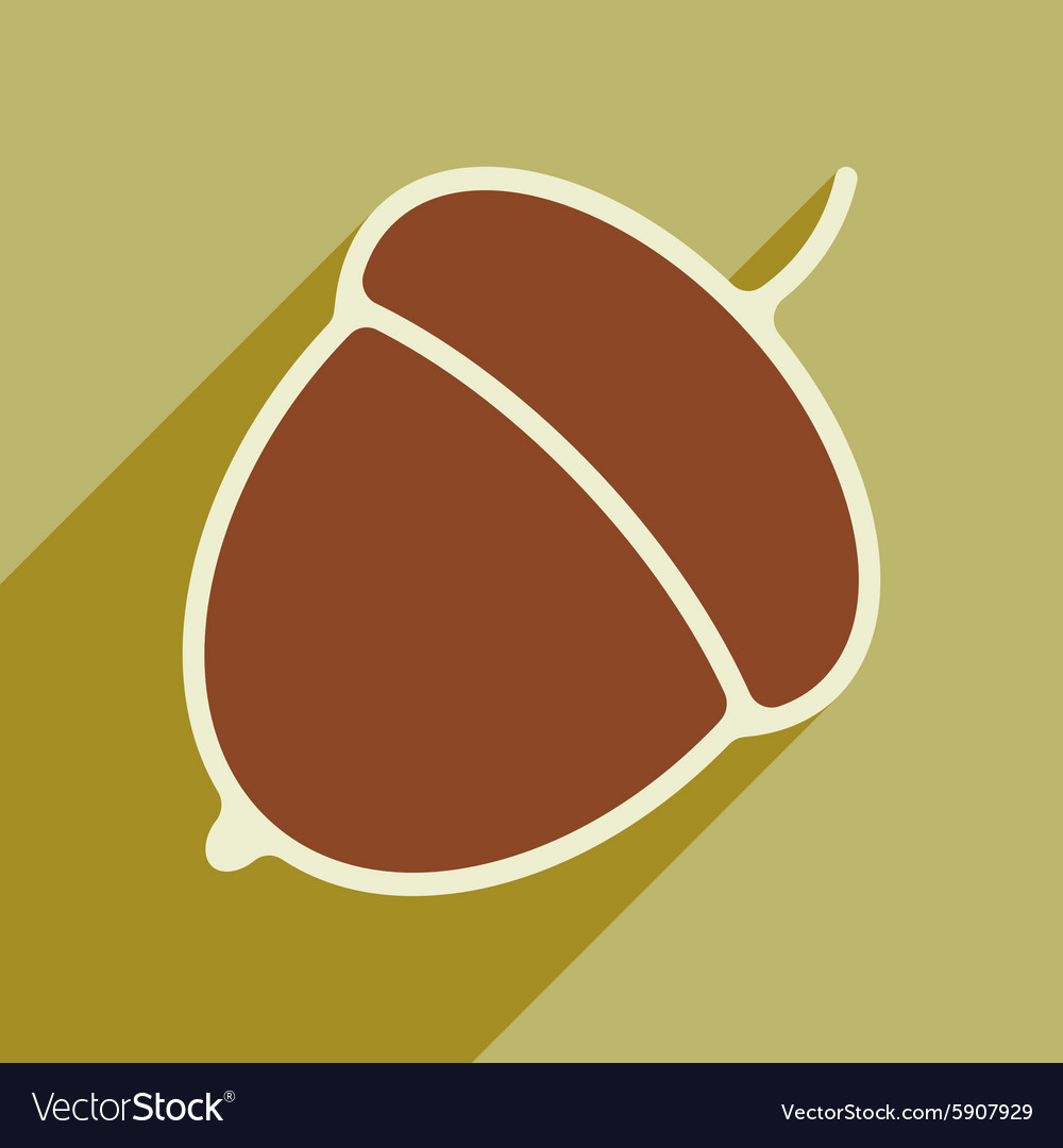 Flat with shadow icon and mobile application acorn