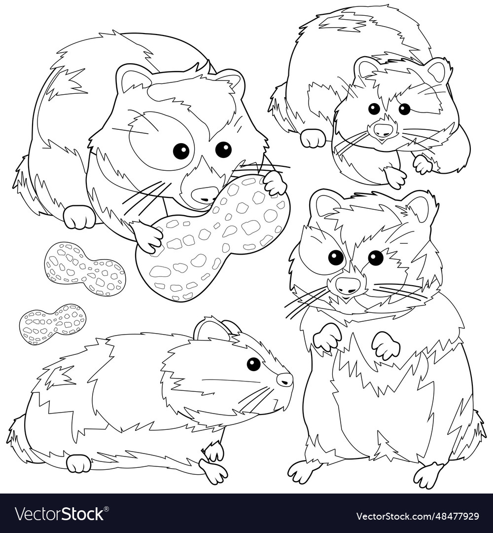 Hamster pets black and white coloring page Vector Image