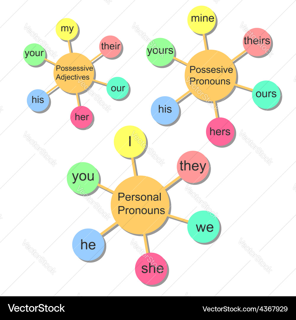 Infographics English pronouns Royalty Free Vector Image
