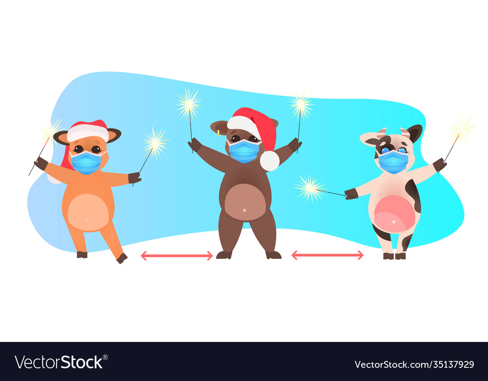 Oxes in santa hats holding sparklers cows masks vector image Oxes in santa hats holding sparklers cows masks