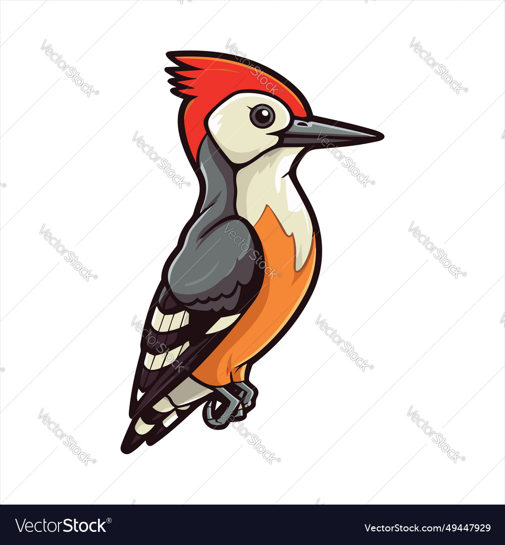 Woodpecker cute funny cartoon kawaii clipart