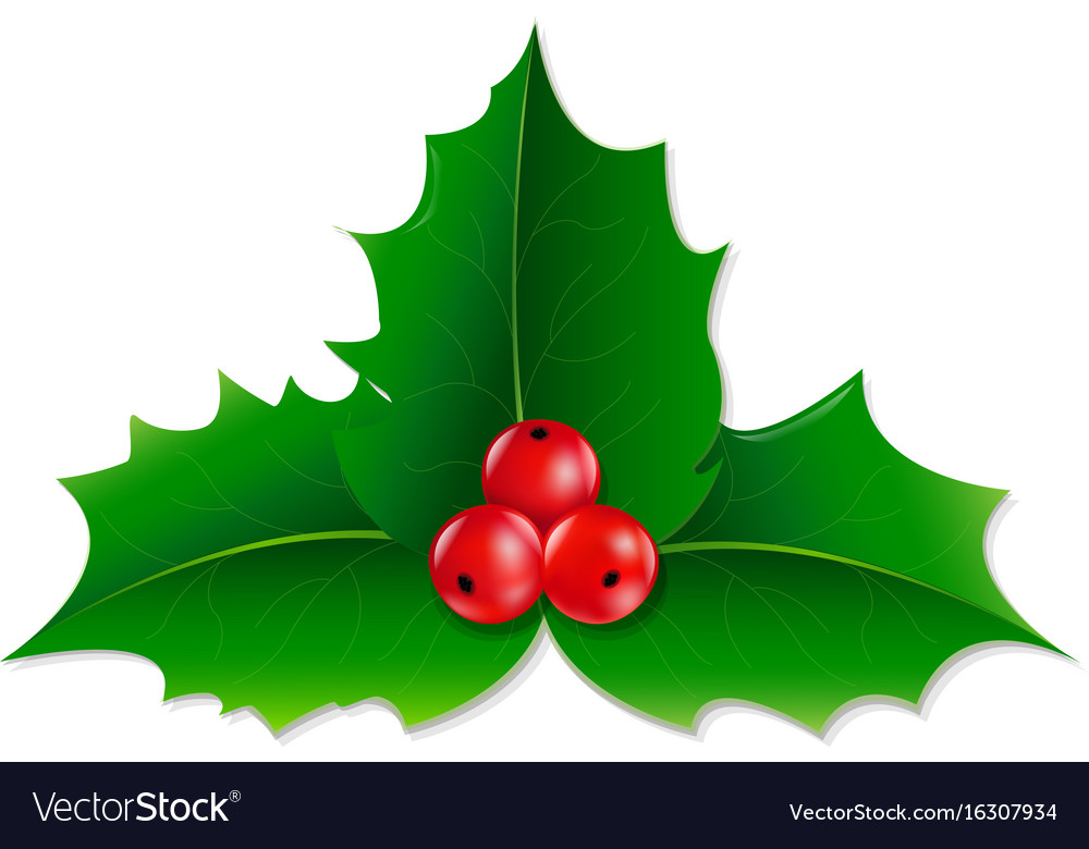 Holly berry