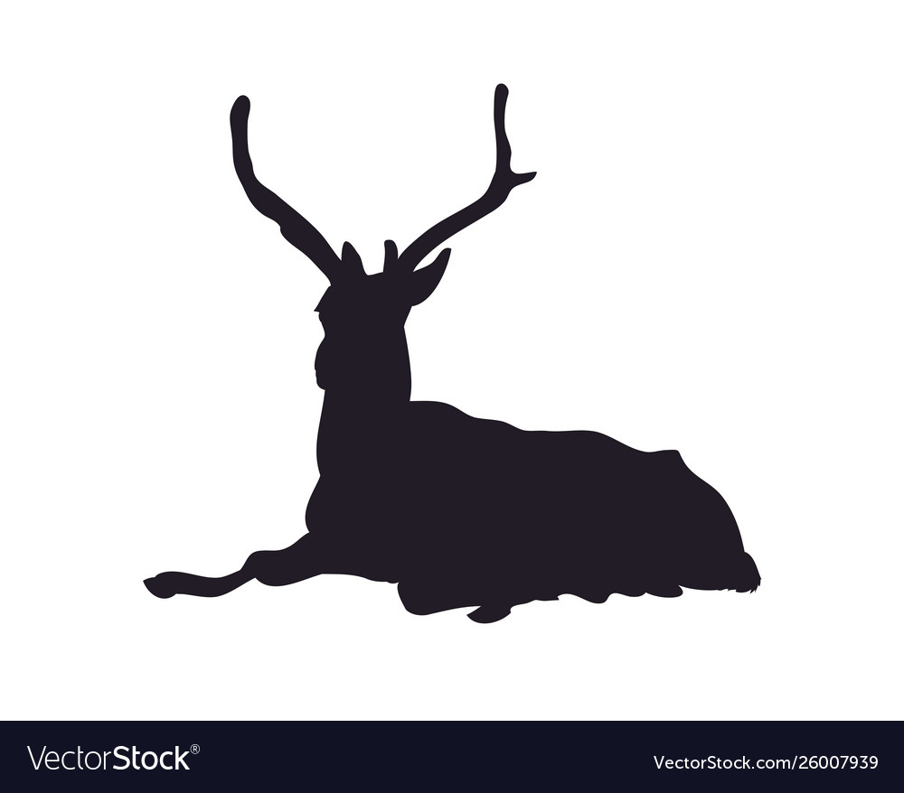 A deer who lies drawing