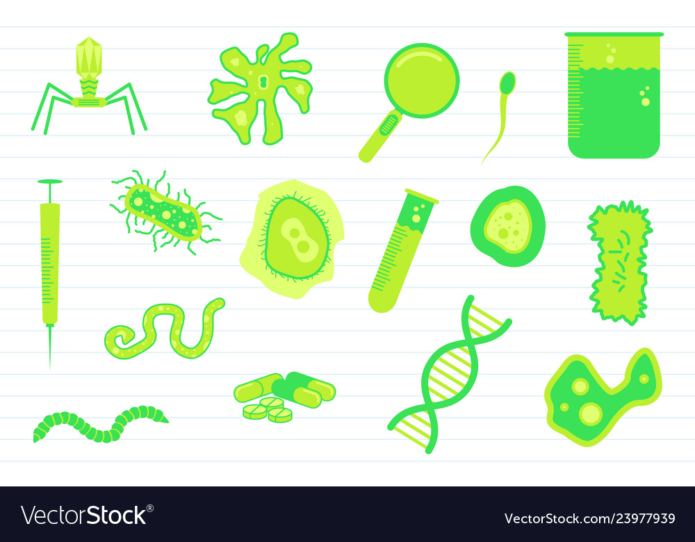 Virus science education with various objects vector image Virus science education with various objects