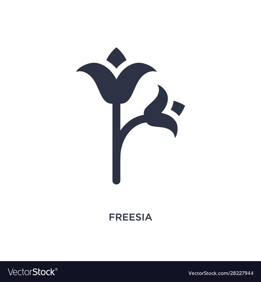 Freesia icon on white background simple element vector image Freesia icon on white background simple element