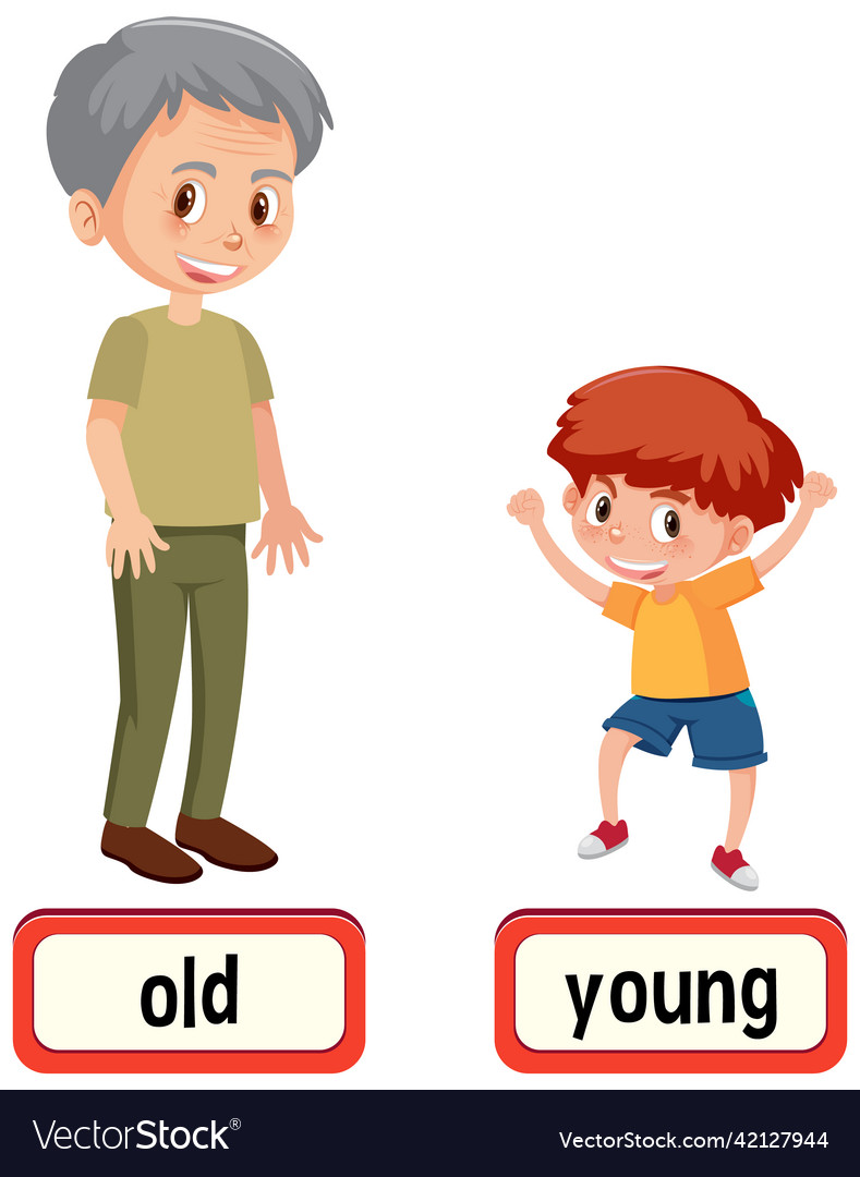 Opposite words for old and young Royalty Free Vector Image