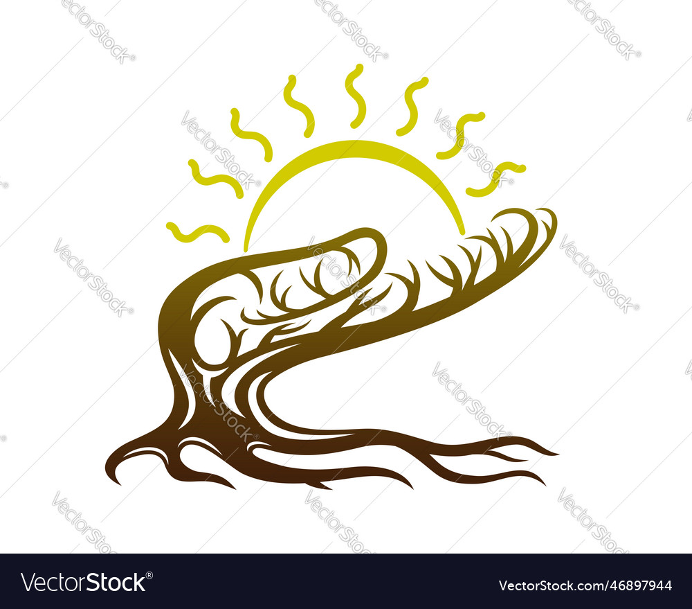 Tree and sun