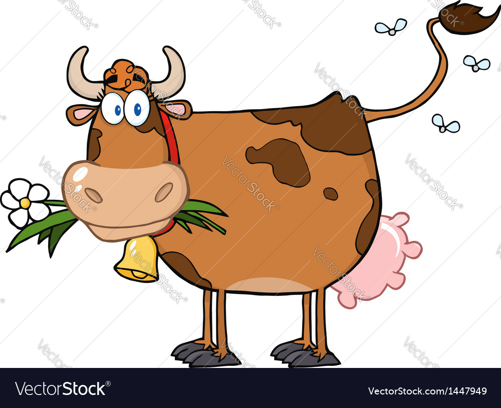 Brown dairy cow with flower in mouth