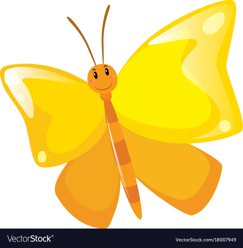 Butterfly with yellow wings