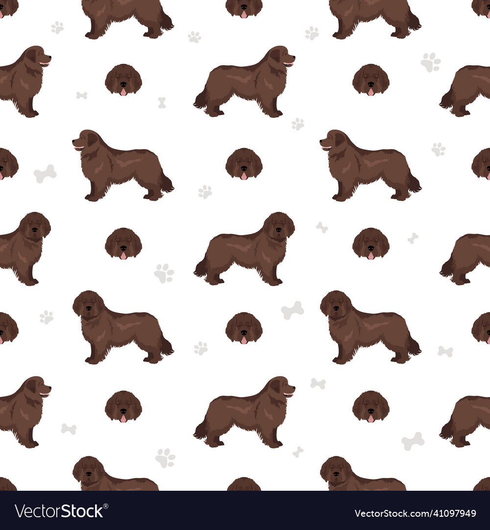 Newfoundland seamless pattern different poses