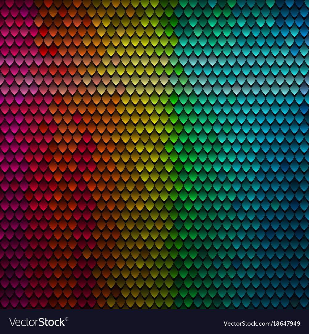 Scales Pattern - Colorful Texture