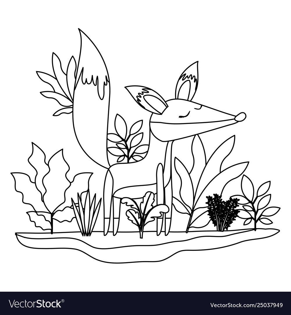 Wild fox in jungle scene