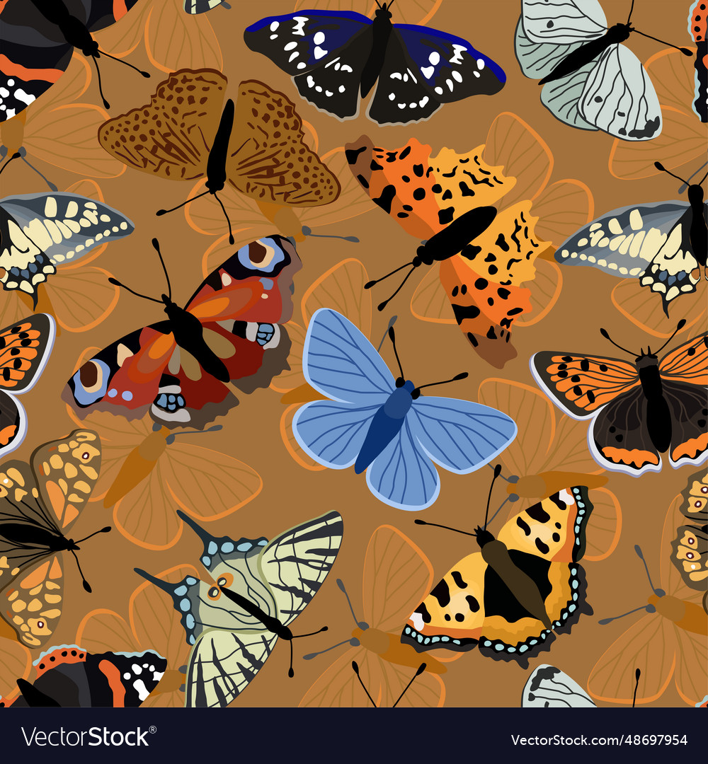 Butterfly pattern