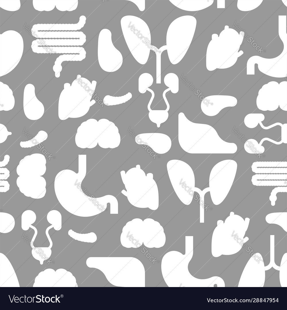 Human Internal Organs Pattern Seamless Anatomy Vector Image