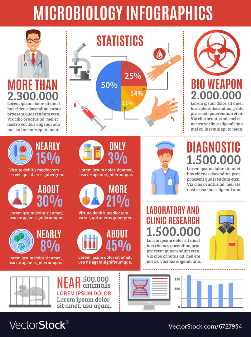 Infographic microbiology researches Royalty Free Vector