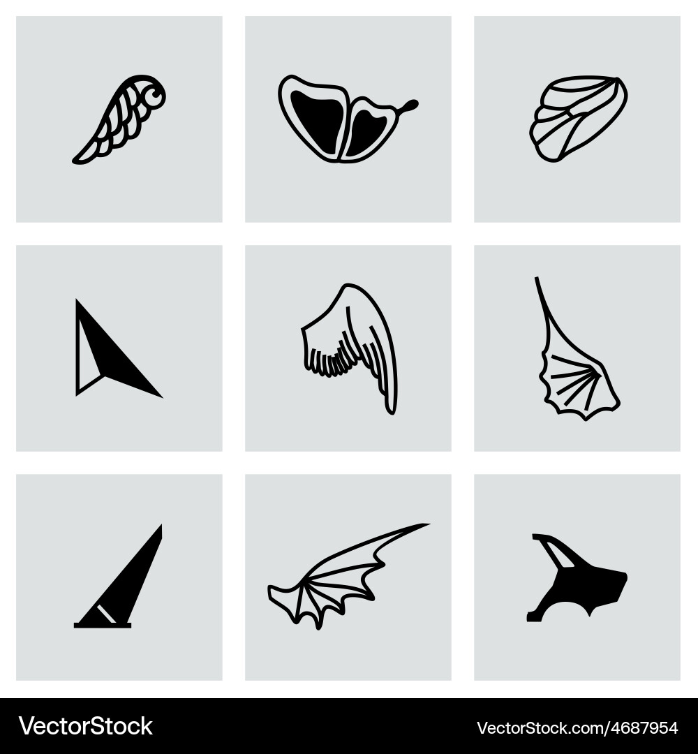 Wing icon set Royalty Free Vector Image - VectorStock