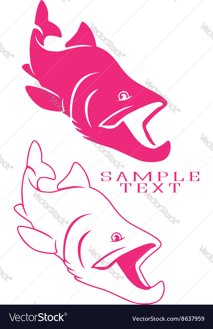 Fish salmon Royalty Free Vector Image - VectorStock