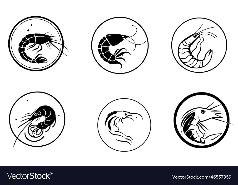 Shrimp Symbol gesetzt Hand gezeichnet Skizze