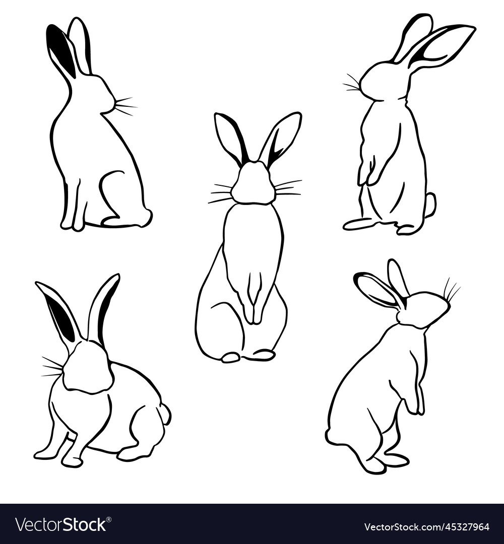 Chinese zodiac symbol of 2023 bunny hare outline