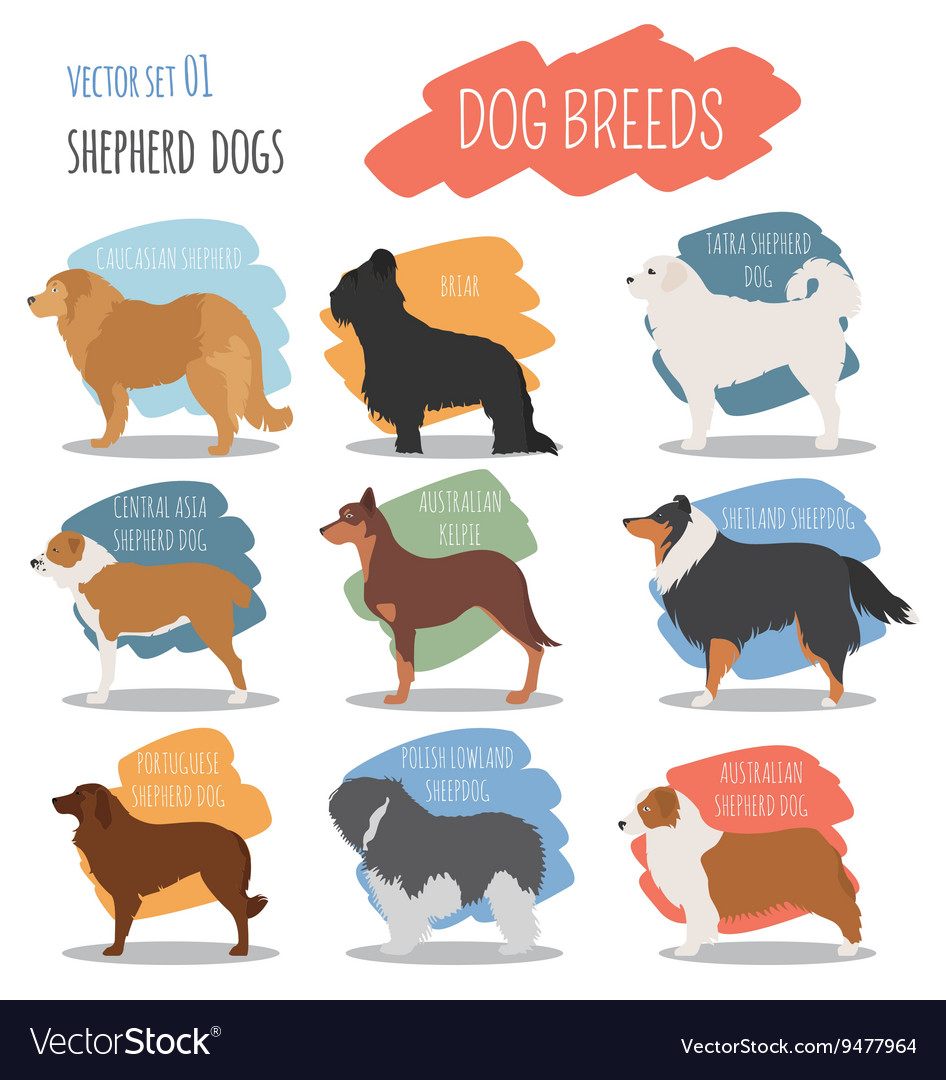 Dog breeds shepherd set icon flat style Royalty Free Vector