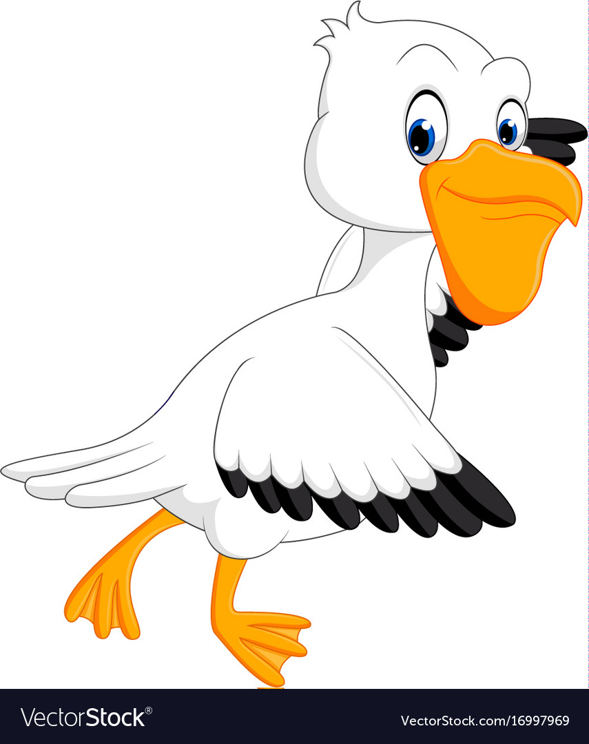 Cute pelican cartoon Royalty Free Vector Image