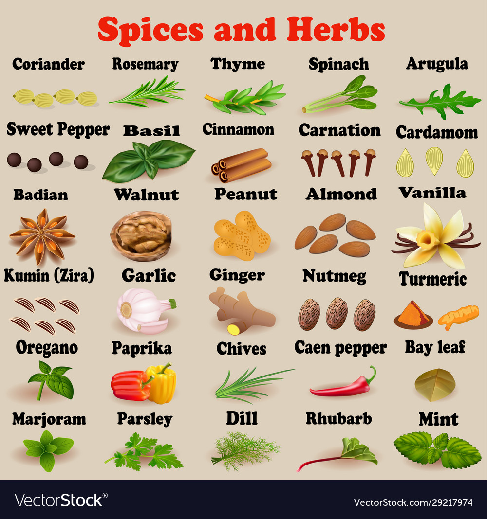 Set Spices And Herbs For Cooking Royalty Free Vector Image