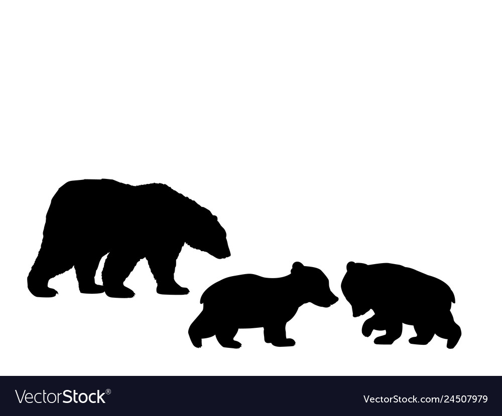 Bear family two cubs black silhouette animals Vector Image