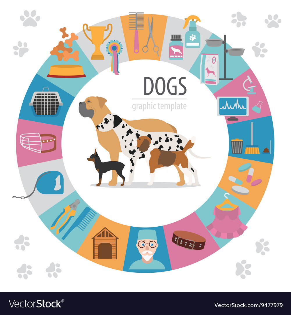 Dog info graphic template heatlh care vet