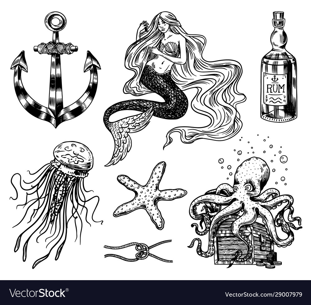 Nautical adventure set sea mermaid anchor vector image Nautical adventure set sea mermaid anchor