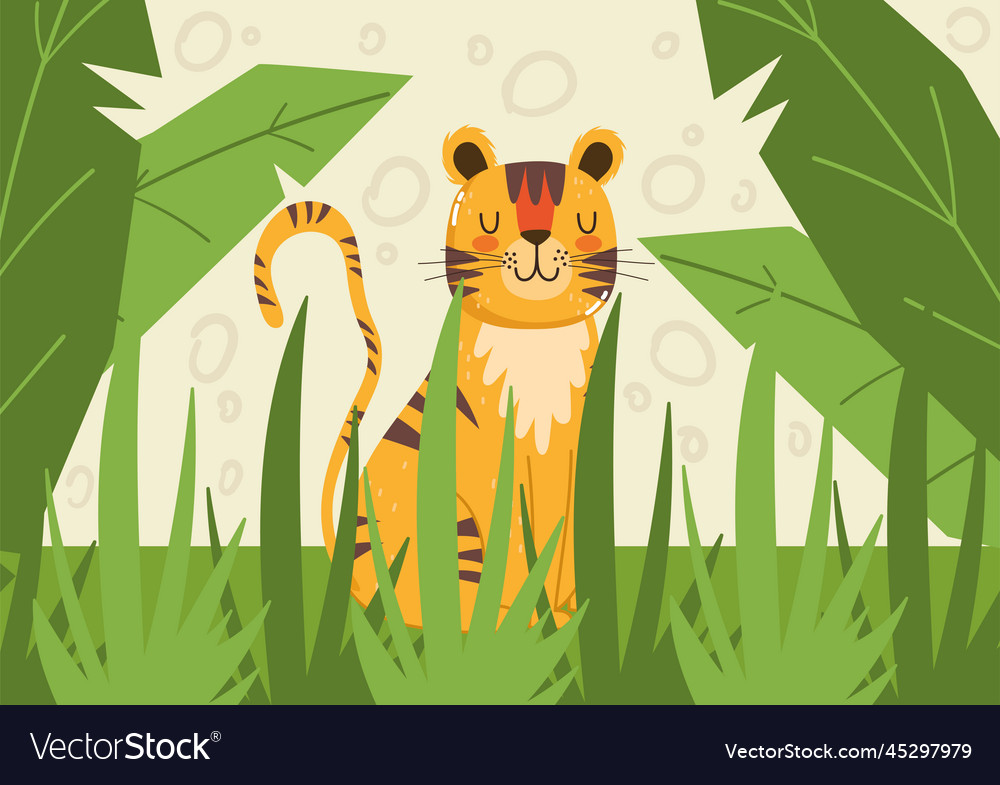 Tiger jungle animal