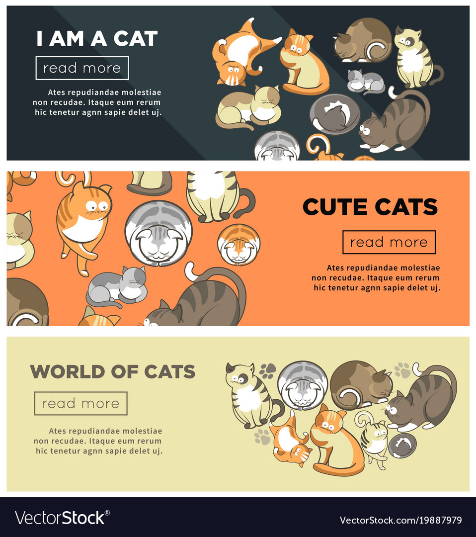 Cats promo code. Cats promo code